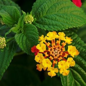 Great prices on poshmark!!